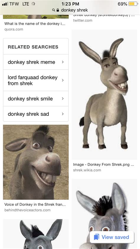 Funny Shrek Donkey Memes