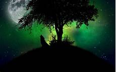 cool green wolf wallpaper wolf howling at the moon wallpaper 183 wallpapertag cool green wolf wallpaper wolf howling at the moon wallpaper 183 wallpapertag