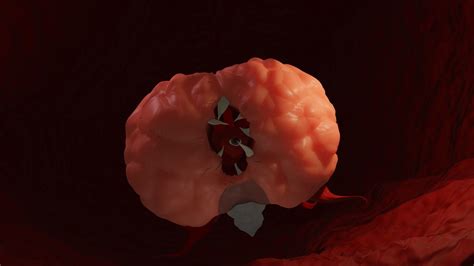 Brain of cthulhu terraria boss with phases 3D model | CGTrader