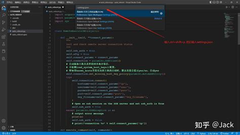 Vscode Python Windows 的图像结果