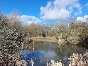 Top 17 things to do in Harrogate (Updated Apr 2025)