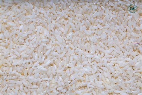 Sahyadri Royal Rice (Semi Polished) – OOO Farms