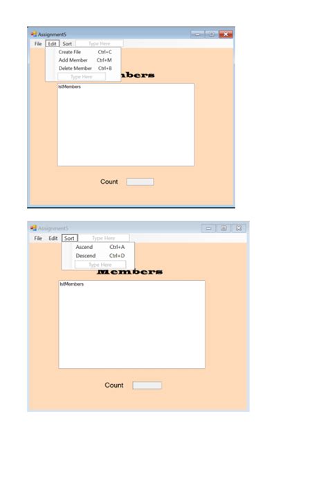 Image result for Visual Basic Sample Code with Form