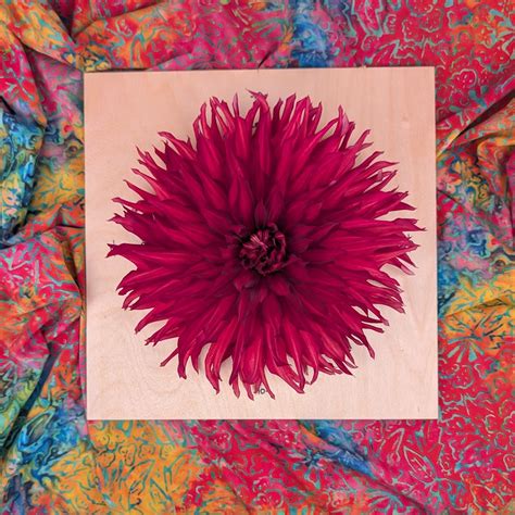 Taum Sauk – RainySunday