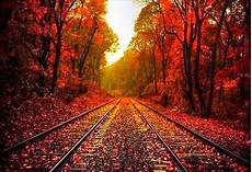 Beautiful Fall Desktop Backgrounds Hd by Beautiful Fall Backgrounds Wallpaper Cave Beautiful Fall Desktop Backgrounds Hd