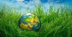 The Ailing Planet: The Green Movement's Role Class 11 English Hornbill