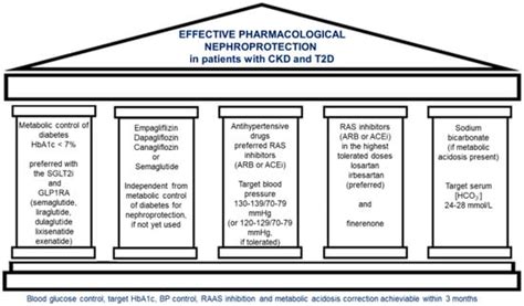 Pharmacological Nephroprotection in Chronic Kidney Disease Patients ...