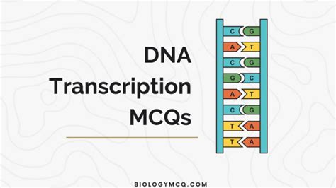 Image result for DNA Replication Multiple Choice Questions