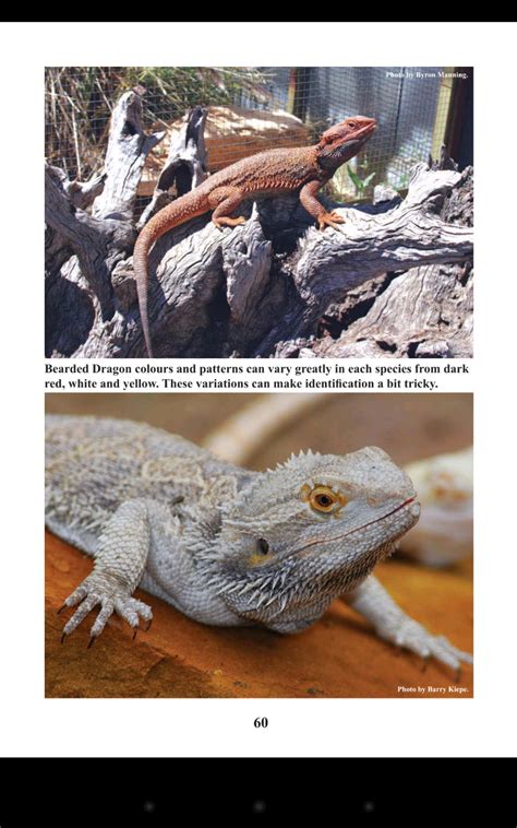 Reptile Publications - App on Amazon Appstore