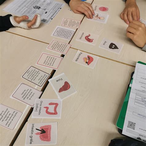 Human Digestive System Card Game - Etsy