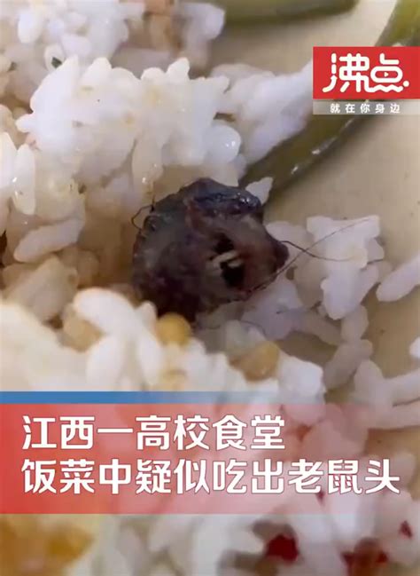 高校饭菜疑吃出老鼠头，校方通报称其为鸭脖，南昌市市监局回应_腾讯新闻