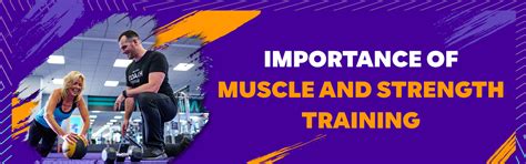 Top 10 Muscle-Building Exercises for Beginners