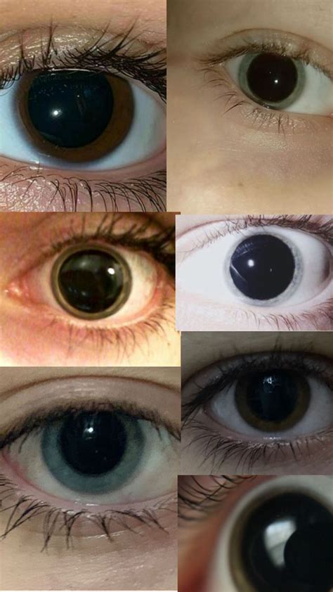 Image result for Iris Recognition Using MATLAB Source Code