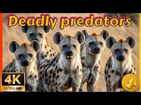 Image result for JavaScript Use Cases