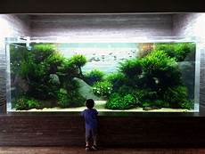 ada aquascape still stunning ada designed and maintained ada aquascape still stunning ada designed and maintained