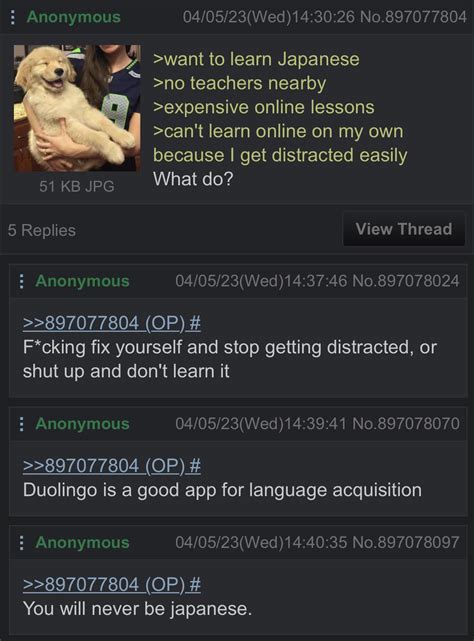 Anon wants to learn japanese | /r/Greentext | Know Your Meme