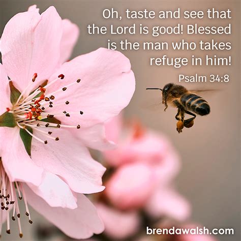 Image result for God Is Good Scripture