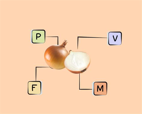 What Nutrients Are Found In Onions at Shani Tillman blog