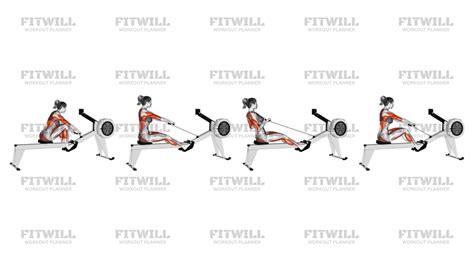 Image result for Rowing Machine Programs