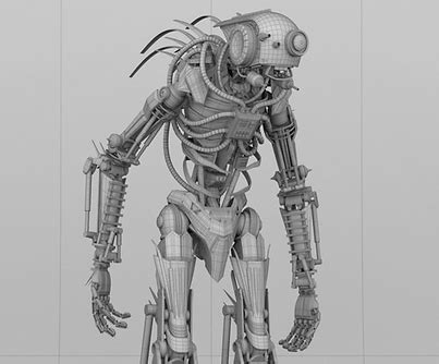 Image result for Rigging Randomizer