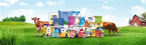 Milky - Dairy Website Template