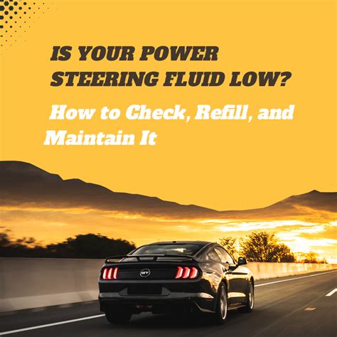 Is Your Power Steering Fluid Low? How to Check, Refill, and Maintain I | ANCEL