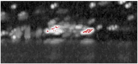 Exploring the Hidden World of Lighting Flicker with a High-Speed Camera