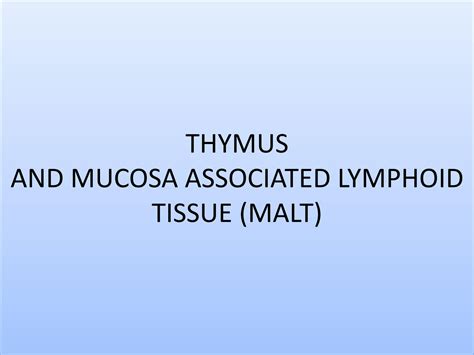 SOLUTION: Histology of thymus mucosa associated lymphoid tissues ...