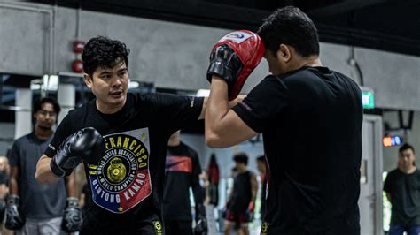 Boxing Counter Attacks 的图像结果