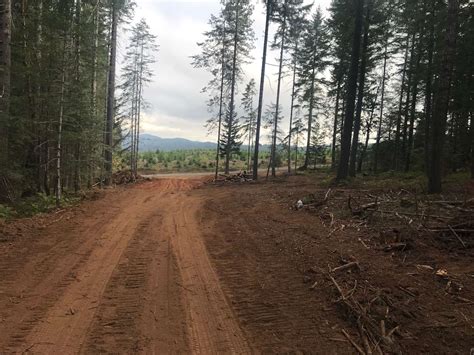 The Real Kind Of Forest Camping - Hipcamp in Camas Valley, Oregon