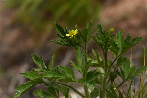 Image result for Test Spring Squareness