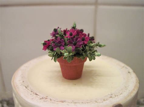 pulchinella's cellar miniatures: Miniature Flowering Plants