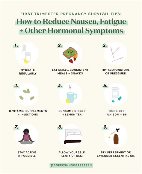 First-Trimester Pregnancy Hormone Balancing Tips: How to Reduce Nausea, Fatigue + Other Hormonal ...