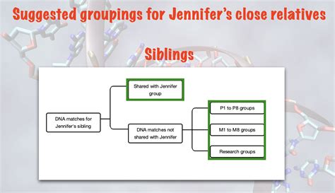 Image result for AncestryDNA Using Grouping