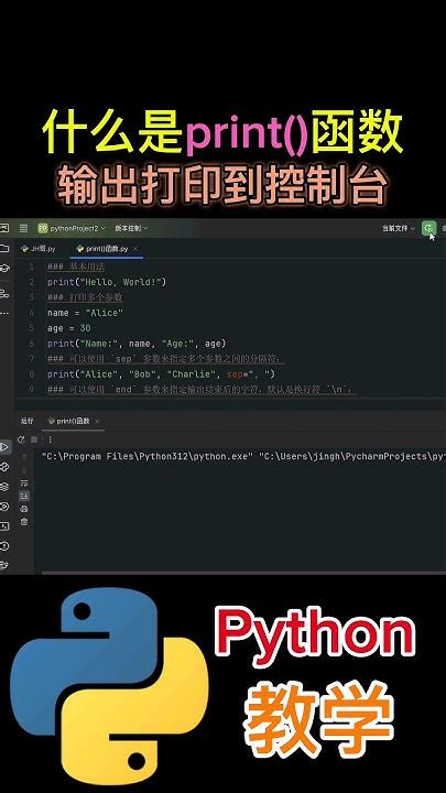 Python Print 的图像结果