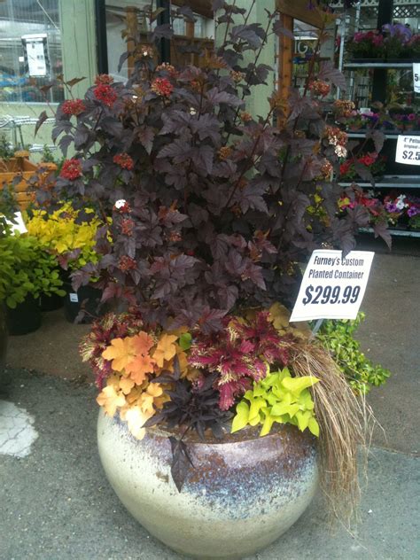 Container Garden Design Photos - Professional Gardening Tips