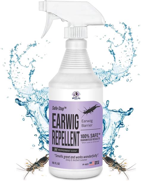 Amazon.com: Petra Bella's Barrier Earwig Repellent - Kills and Repels ...