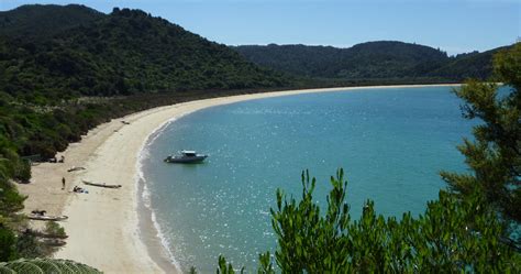 New Zealand Walks - Top of the South Package | Travel agent in ...