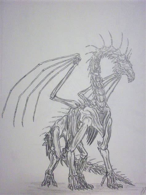Dragon Skeleton Drawing 的图像结果