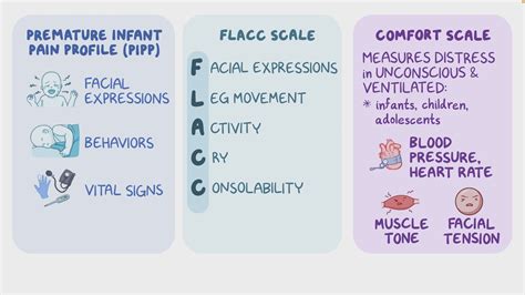 Flacc Scale Pain Assessment