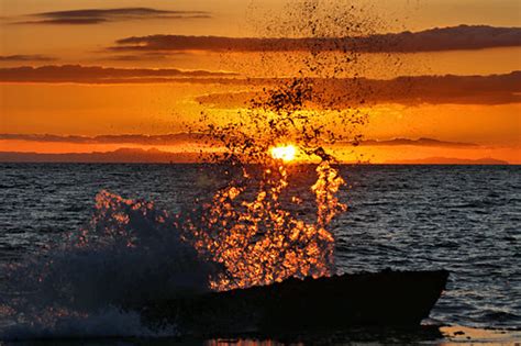 Laguna Beach Surf Forecast and Surf Reports (CAL - Orange County, USA)