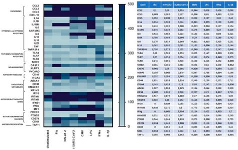 A New ERAP2/Iso3 Isoform Expression Is Triggered by Different Microbial ...