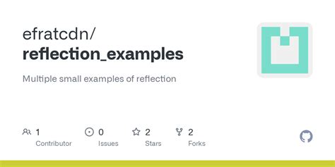 Reflection Examples 的图像结果