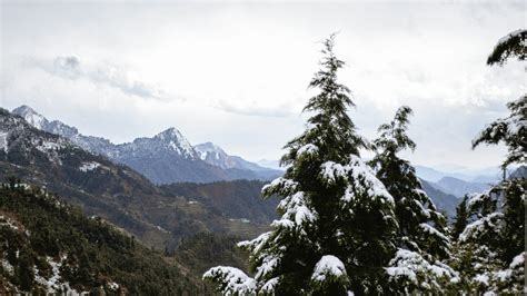 https://travel-blog.happyeasygo.com/wp-content/uploads/2024/09/Dhanaulti.jpg