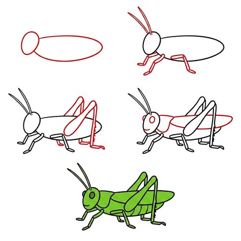 10+ Easy and Cute Grasshopper Drawing Ideas - Drawing Photos