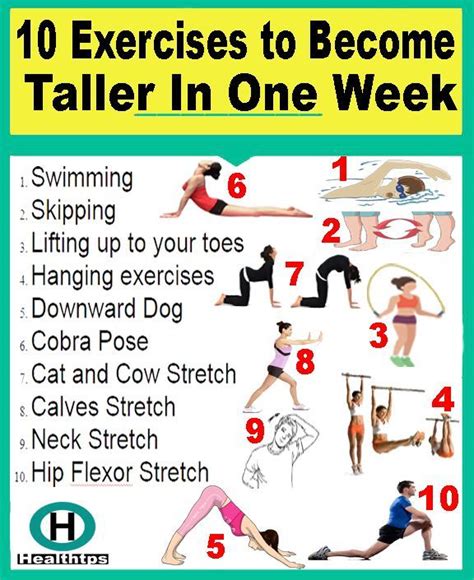 10 Exercises to Become Taller In One Week... | Increase height exercise ...