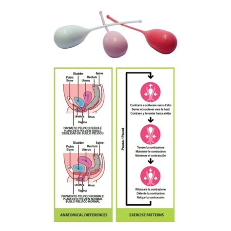 Pelvik Kit 3 vaginal cones