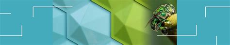 Dormant Effect Powder Coatings