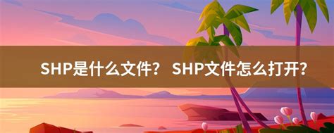 SHP File Extension 的图像结果