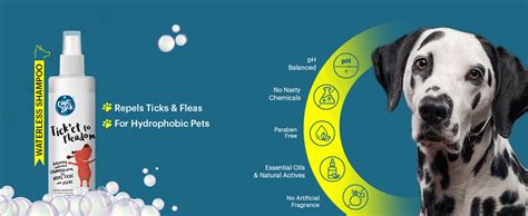 Buy Captain Zack Dog Spray Shampoo for All Breeds | Tick’et to Fleadom ...